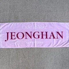 SEVENTEEN ジョンハン Ode to you タオル
