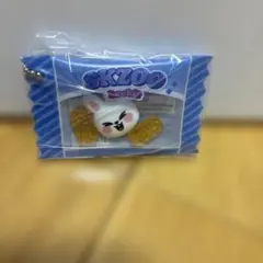 StrayKids スキズ skzoo シャカっとチャーム&グミ リービット