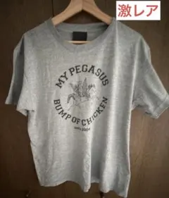 BUMP OF CHICKEN MYPEGASUS ツアーTシャツ 2004 M - メルカリ