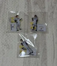 阪神タイガース アクスタくじ 2026 熱覇 A4アクリルプレート
