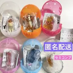 くまのプーさん めじるしアクセサリー セミコンプ