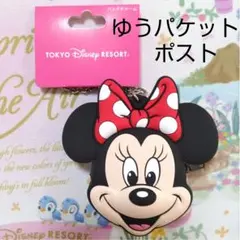 ディズニー　バッグチャーム　コインケース　ミニー