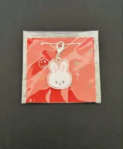 straykids スキズ リノ リービット ミニチャーム skzoo