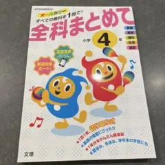 新品‼️全科まとめて 小学4年 文理