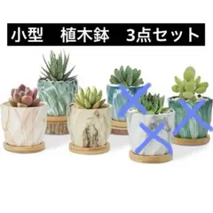 植木鉢　小型　多肉植物　マーブルセラミック鉢　まとめ売り