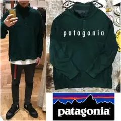 ［USA／レアモデル］L《★ patagonia ★》シンチラ スナップT 美品
