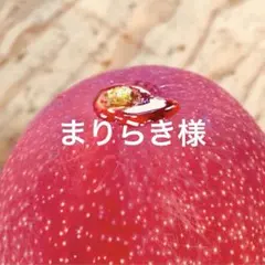 宮崎県産 完熟マンゴー 2kgのサムネイル