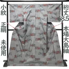着物 小紋 裄68.5 正絹 本場大島紬 証紙 未使用 色紙に花柄 Ｌ寸 MWR