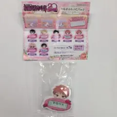 桜蘭高校ホスト部 おなまえなふだバッジ 常陸院光