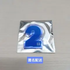2026年最新】超特急 カイ ペンライトの人気アイテム - メルカリ