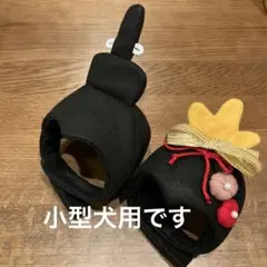 小型犬用、お雛様とお内裏様の被り物、ひな祭り