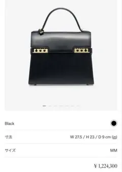 DELVAUX タンペートXL Black Derby Calf - メルカリ