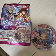 ニューダンガンロンパV3 セリフ缶バッジ vol.3 入間美兎 - メルカリ