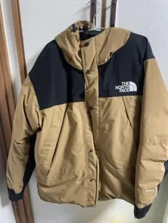 THE NORTH FACE GORE-TEX ダウンジャケット XL