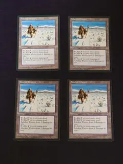 溢れかえる岸辺 4枚セット 中国語 多言語 旧枠 MH3 MTG 溢れかえる岸辺 4枚セット 中国語 多言語 旧枠 MH3 MTG - メルカリ