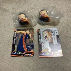 【ハイキュー‼︎】田中龍之介セットおねむたん/バボカ