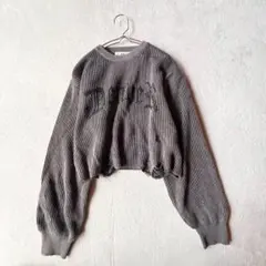 【WEGO】クロップド丈 リブニット（F）長袖 ダメージ加工 英字 ビッグロゴ