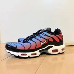Nike Air Max Plus 27.5cm