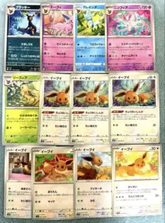 イーブイ ブラッキー リーフィア グレイシア ニンフィア エーフィ 12枚セット