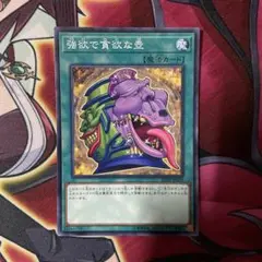 遊戯王 強欲で貪欲な壺 シークレットレア1枚【アジア版】 - メルカリ