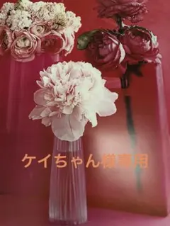 ケイちゃん様専用