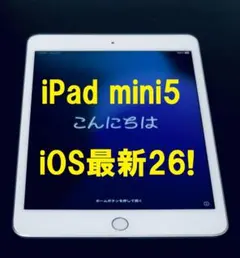 ◆ios最新26 iPad mini 5 64GB 第5世代 ( 新品フィルム