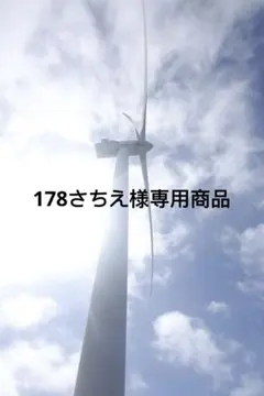 178さちえ様専用商品