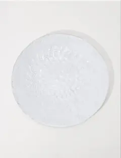 Astier de Villatte Nathalie プレート 24cmのサムネイル