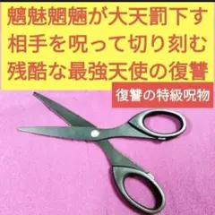 2025年最新】呪い 曰く付きの人気アイテム - メルカリ