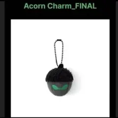 BTS j-hope どんぐり チャーム 2個セット BTS j-hope どんぐり チャーム 2個セット