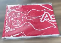 Astemoリヴァーレ茨城 応援マフラータオル