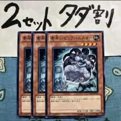 2026年最新】素早いビッグハムスターの人気アイテム - メルカリ