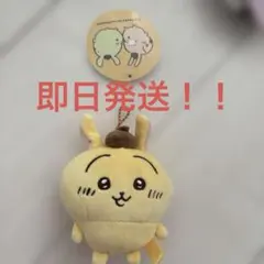 即日発送ちいかわ×サンリオキャラクターズぷちミニマスコットうさぎ ポムポムプリン