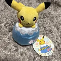 【即完売品】富士山頂ピカチュウ　顔厳選済み