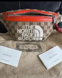 2025年最新】north face gucci バッグの人気アイテム - メルカリ
