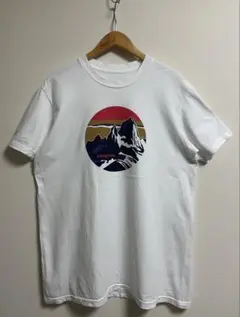 USA製 patagonia パタゴニア WILD-1 30周年 Tシャツ 半袖