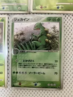 マ*ア様 ポケモンカード ジュカイン ジュプトル キモリ5枚セットのサムネイル