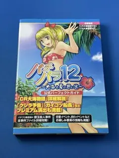 パチパラ14～風と雲とスーパー海in沖縄～公式パーフェクトガイド　攻略本 パチパラ14～風と雲とスーパー海in沖縄～公式パーフェクトガイド 攻略