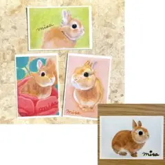 4枚　おまとめ