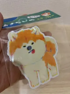 秋田犬ステッカー　未開封