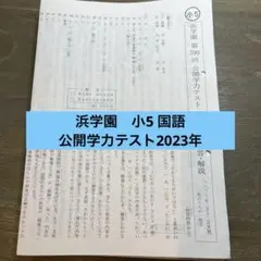 浜学園　小４　国語　８年分　2023年~2016年　公開学力テスト 浜学園 小4 8年分 2023年～2016年 公開学力テスト 3教科