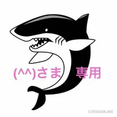 (^^)さま専用