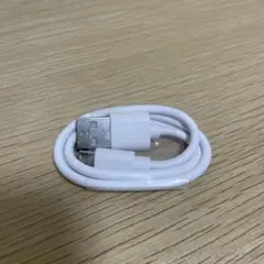 新品未使用 ホワイト USB 充電ケーブル 標準長さ iPhone