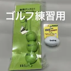 ゴルフグッズまとめ売り 楽飛グッズ 軸ブレチェッカー ラガーパット560