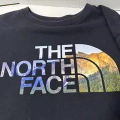 THE NORTH FACE ノースフェイス 半袖Tシャツ Lサイズ ブラック