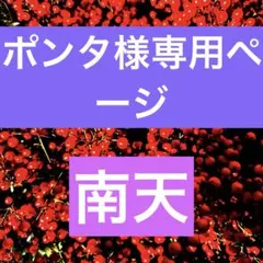 ポンタ様専用ページ