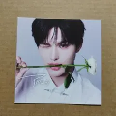 vivi ko1keyz 11月12月合併号 付録 切り抜き 安部結蘭