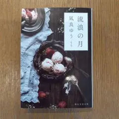 流浪の月