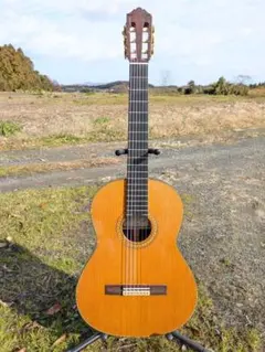 2025年最新】ギターYAMAHA GCの人気アイテム - メルカリ