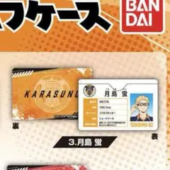 ハイキュー!! 月島蛍 マイプロフケース